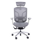 High Back Polished Aluminum Ergonomic Mesh Executive Chair Sync Sliding Swivel Office Chair