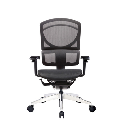 Polished Mesh Ergo Office Chair With Adjustable Depth Ergonomic